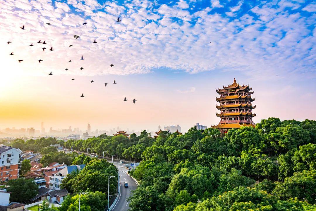 楚天云&LETOU国际米兰流量可视化：云上湖北，安全上云